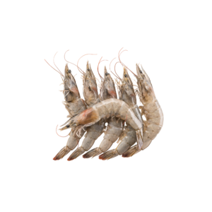 جمبري قشر سعودي (1ك*10)